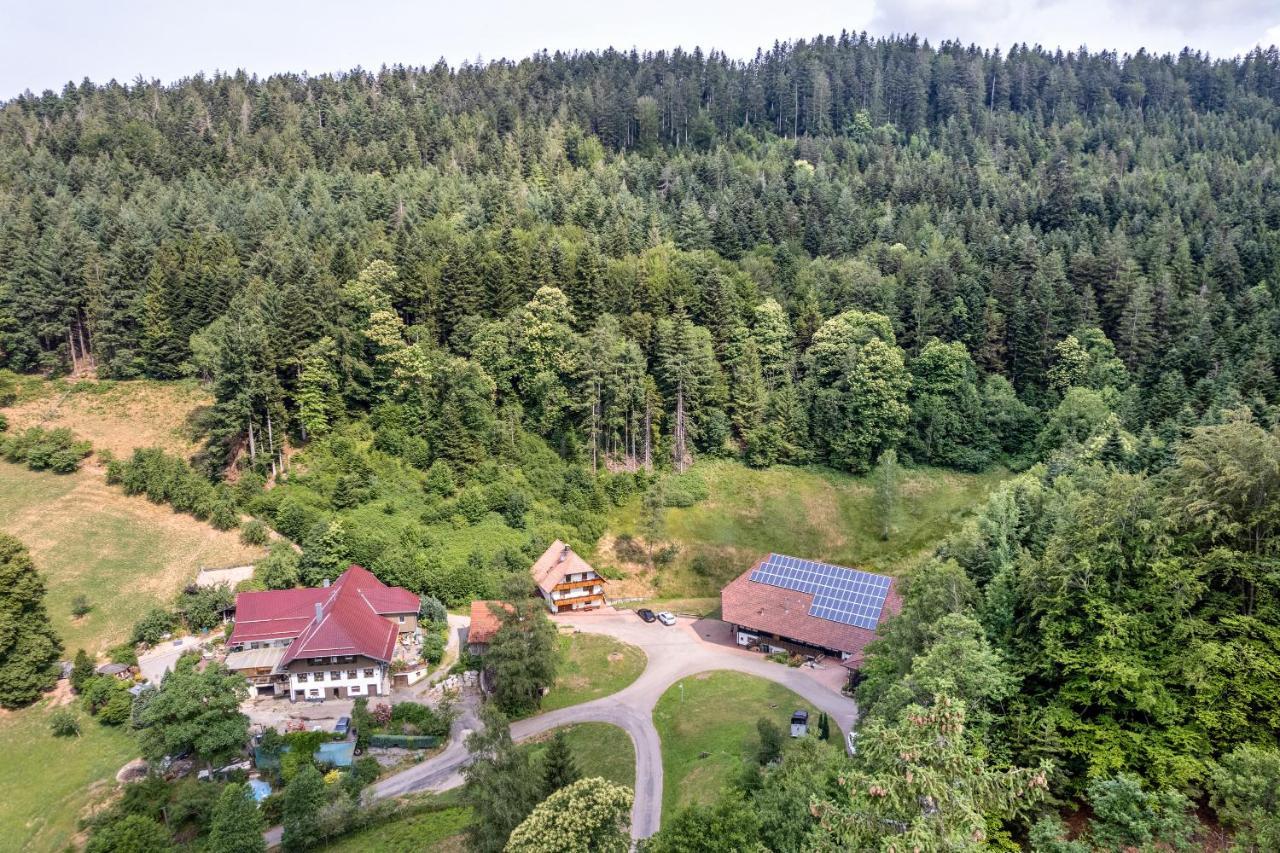 Ferienhaus Giessler Nordrach المظهر الخارجي الصورة